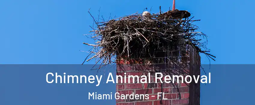 Chimney Animal Removal Miami Gardens - FL