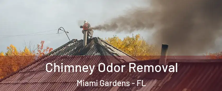  Chimney Odor Removal Miami Gardens - FL