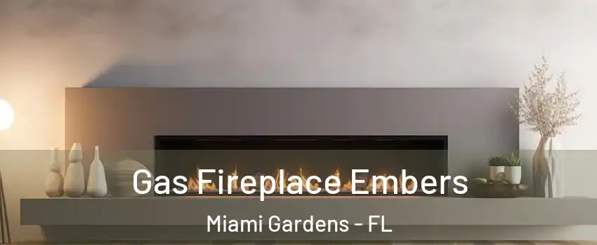  Gas Fireplace Embers Miami Gardens - FL