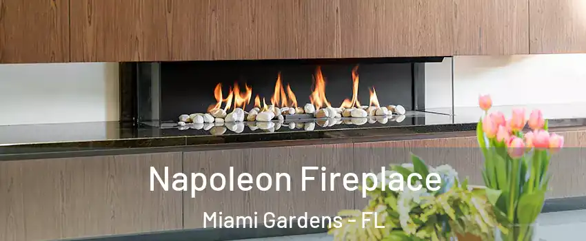 Napoleon Fireplace Miami Gardens - FL